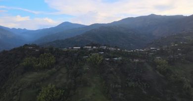 Del sueño a la pesadilla Americana